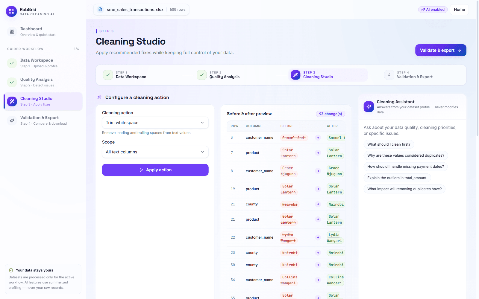 Cleaning Studio — configuring a cleaning action with a full before/after preview of every affected cell before applying